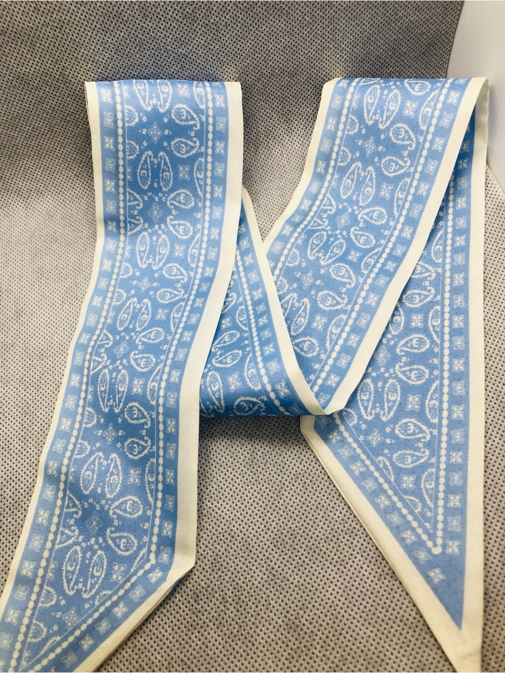Blue Paisley Twilly Scarf